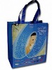 non-woven shipping bag