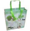 non woven shopping bag