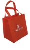 non woven shopping bag