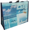 non woven shopping bag