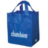 non woven shopping bag