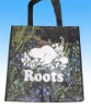 non-woven shopping bag(CL-257)