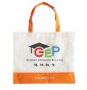 non woven shopping bag(DFY-B041)