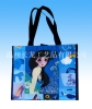 non-woven tote bag(CL-214)