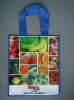 non woven with laminate bag