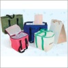 nonwoven cooler shoulder bag (keep things cool/hot)