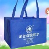nonwoven shopping bag(tote bag) NWB539
