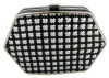 novelty clutch bag hard case