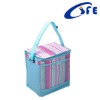 office insulated lunch bag for lady