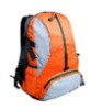 outdoor backpack DFL-BP0028