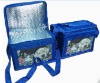 outdoor cooler ice bag