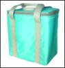 outdoor lunch cooler bag