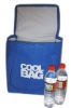 outdoor non woven bag