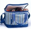 outdoor picnic cooler bag