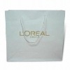 paper bag bs00297