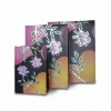 paper bag bs00401