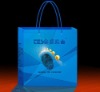 paper bag for food