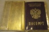 passport holder (travel passport holder, passport cover)