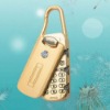 phone luggage lock