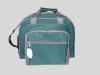 picnic bag( FS1617)