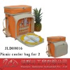 picnic carry bag for 2 person