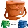 picnic cooler bag