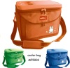 picnic cooler bag