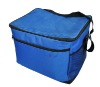 picnic cooler bag