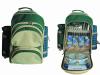 picnic cooler bag