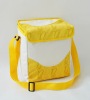 picnic cooler bag