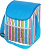 picnic cooler bag