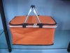 picnic cooler bag