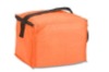 picnic cooler bag