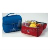 picnic cooler bag( NV-D069)