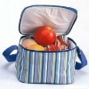 picnic non woven insulated ice cooler bag