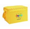 picture of thermal bags and esky (s11-cb011)