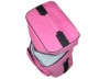 pink cooler bag