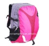 pink laptop bag