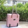 pink stripe 2pcs trolley case and handbag