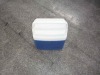 plastic cooler box