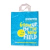 plastic shopping bag