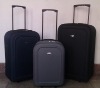 polyester bearing luggage