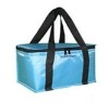 polyester thermal bag