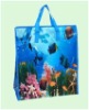 polypropylene woven bag