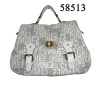 popular lady bag CL-58513-B