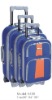 popular luggage