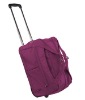 popular nice 24''  luggage case for ladies