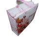 popular pp non-woven bag