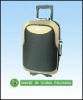 popular travel luggages