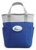 portable beach cooler bag